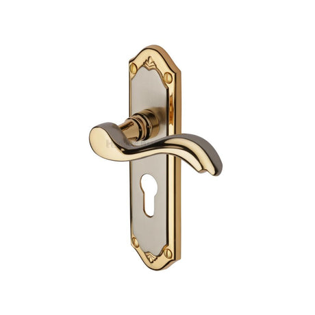 This is an image of a Heritage Brass - Door Handle for Euro Profile Plate Lisboa Design Jupiter Finish, mm994-48-jp that is available to order from T.H Wiggans Ironmongery in Kendal.