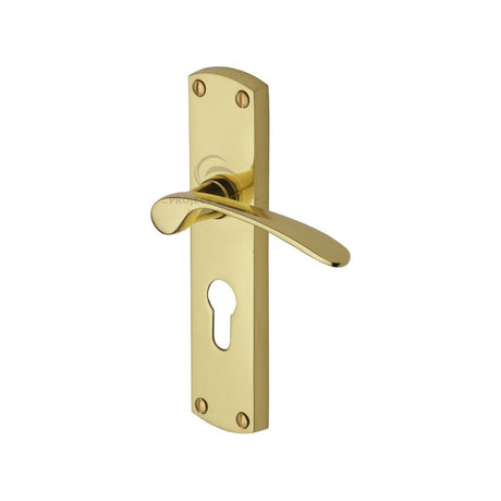 This is an image of a Project Hardware - Door Handle for Euro Profile Plate Luca Design Polished Brass Fin, pr448-pb that is available to order from T.H Wiggans Ironmongery in Kendal.