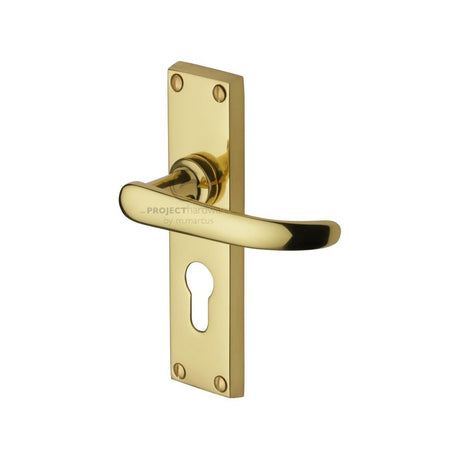This is an image of a Project Hardware - Door Handle for Euro Profile Plate Avon Design Polished Brass Fin, pr927-pb that is available to order from T.H Wiggans Ironmongery in Kendal.