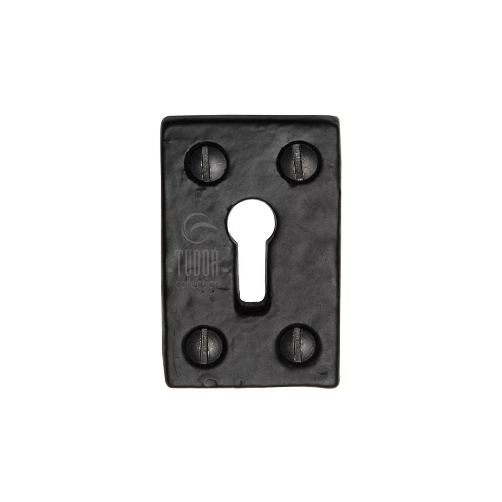 This is an image of a The Tudor Collection - Rectangluar Keyhole Escutcheon Black Iron, tc544 that is available to order from T.H Wiggans Ironmongery in Kendal.