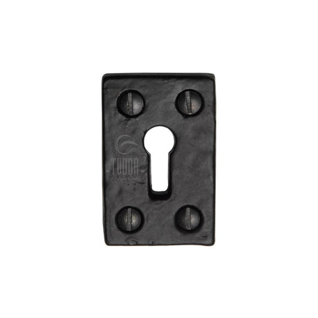 This is an image of a The Tudor Collection - Rectangluar Keyhole Escutcheon Black Iron, tc544 that is available to order from T.H Wiggans Ironmongery in Kendal.