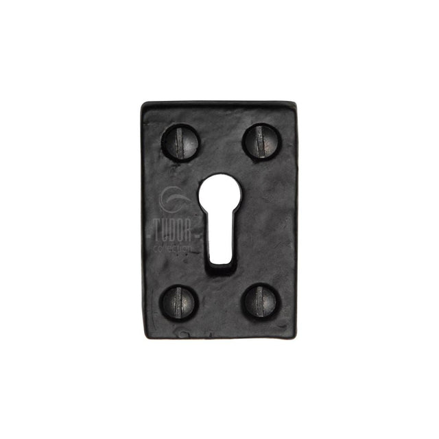 This is an image of a The Tudor Collection - Rectangluar Keyhole Escutcheon Black Iron, tc544 that is available to order from T.H Wiggans Ironmongery in Kendal.