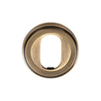This is an image of a Heritage Brass - Oval Profile Cylinder Escutcheon Antique Brass Finish, v5010-at that is available to order from T.H Wiggans Ironmongery in Kendal.