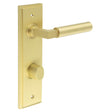 This is an image showing the Frelan - Westminster Door Handle Din Bathroom Backplate Satin Brass & Turn & Release available to order from T.H. Wiggans Ironmongery in Kendal