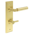 This is an image showing the Frelan - Westminster Door Handle Din Bathroom Backplate Satin Brass & Turn & Release available to order from T.H. Wiggans Ironmongery in Kendal