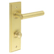 This is an image showing the Frelan - Richmond Door Handle Din Bathroom Backplate Satin Brass & Turn & Release available to order from T.H. Wiggans Ironmongery in Kendal