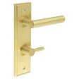 This is an image showing the Frelan - Richmond Door Handle Din Bathroom Backplate Satin Brass & Turn & Release available to order from T.H. Wiggans Ironmongery in Kendal