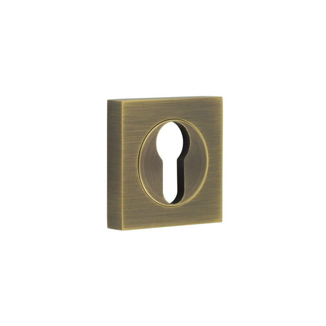 This is an image showing the Frelan - Burlington Euro Profile Escutcheons Square Plain Rose Antique Brass available to order from T.H. Wiggans Ironmongery in Kendal