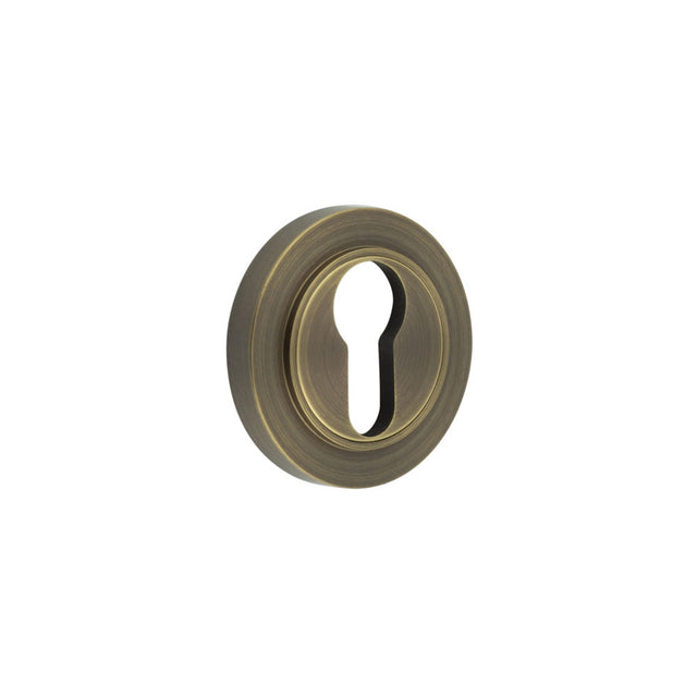 This is an image showing the Frelan - Burlington Euro Profile Escutcheons Plain Rose Antique Brass available to order from T.H. Wiggans Ironmongery in Kendal