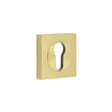 This is an image showing the Frelan - Burlington Euro Profile Escutcheons Square Plain Rose Satin Brass available to order from T.H. Wiggans Ironmongery in Kendal