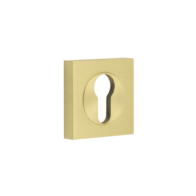 This is an image showing the Frelan - Burlington Euro Profile Escutcheons Square Plain Rose Satin Brass available to order from T.H. Wiggans Ironmongery in Kendal