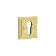 This is an image showing the Frelan - Burlington Euro Profile Escutcheons Square Stepped Rose Satin Brass available to order from T.H. Wiggans Ironmongery in Kendal