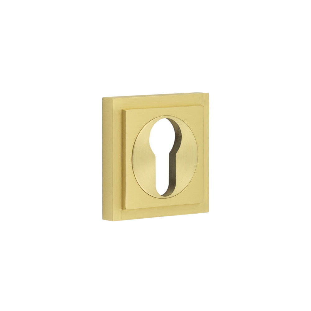 This is an image showing the Frelan - Burlington Euro Profile Escutcheons Square Stepped Rose Satin Brass available to order from T.H. Wiggans Ironmongery in Kendal