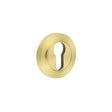 This is an image showing the Frelan - Burlington Euro Profile Escutcheons Plain Rose Satin Brass available to order from T.H. Wiggans Ironmongery in Kendal