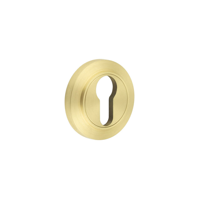 This is an image showing the Frelan - Burlington Euro Profile Escutcheons Chamfered Rose Satin Brass available to order from T.H. Wiggans Ironmongery in Kendal