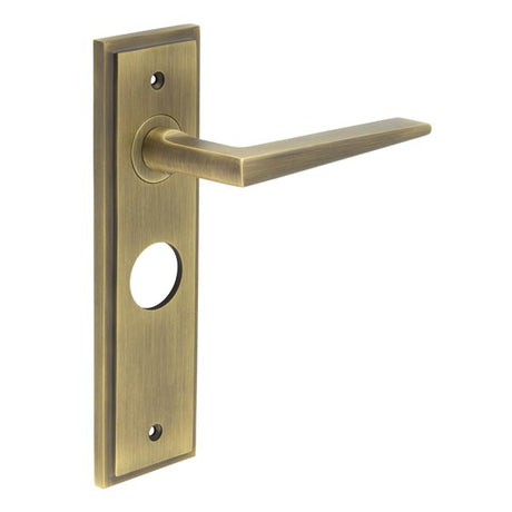 This is an image showing the Frelan - Mayfair Door Handle Bathroom Backplate Antique Brass available to order from T.H. Wiggans Ironmongery in Kendal