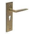 This is an image showing the Frelan - Mayfair Door Handle Euro Backplate Antique Brass available to order from T.H. Wiggans Ironmongery in Kendal