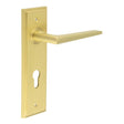 This is an image showing the Frelan - Mayfair Door Handle Din Euro Backplate Satin Brass available to order from T.H. Wiggans Ironmongery in Kendal