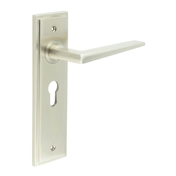 This is an image showing the Frelan - Burlington Mayfair Euro Profile Door Handles Satin Nickel available to order from T.H. Wiggans Ironmongery in Kendal