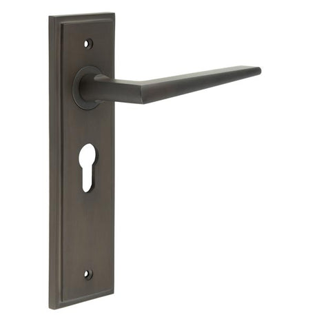 This is an image showing the Frelan - Mayfair Door Handle Euro Backplate Dark Bronze available to order from T.H. Wiggans Ironmongery in Kendal