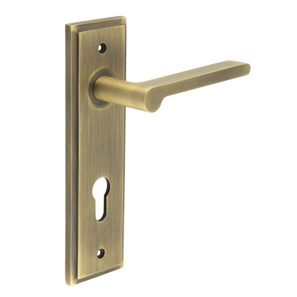 This is an image showing the Frelan - Fitzrovia Door Handle Din Euro Backplate Antique Brass available to order from T.H. Wiggans Ironmongery in Kendal