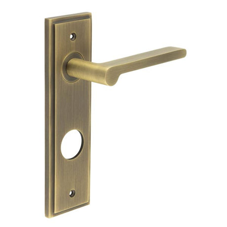 This is an image showing the Frelan - Fitzrovia Door Handle Din Bathroom Backplate Antique Brass available to order from T.H. Wiggans Ironmongery in Kendal