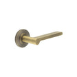 This is an image showing the Frelan - Fitzrovia Door Handles Chamfered Rose Antique Brass available to order from T.H. Wiggans Ironmongery in Kendal