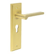 This is an image showing the Frelan - Fitzrovia Door Handle Euro Backplate Satin Brass available to order from T.H. Wiggans Ironmongery in Kendal