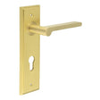 This is an image showing the Frelan - Fitzrovia Door Handle Din Euro Backplate Satin Brass available to order from T.H. Wiggans Ironmongery in Kendal