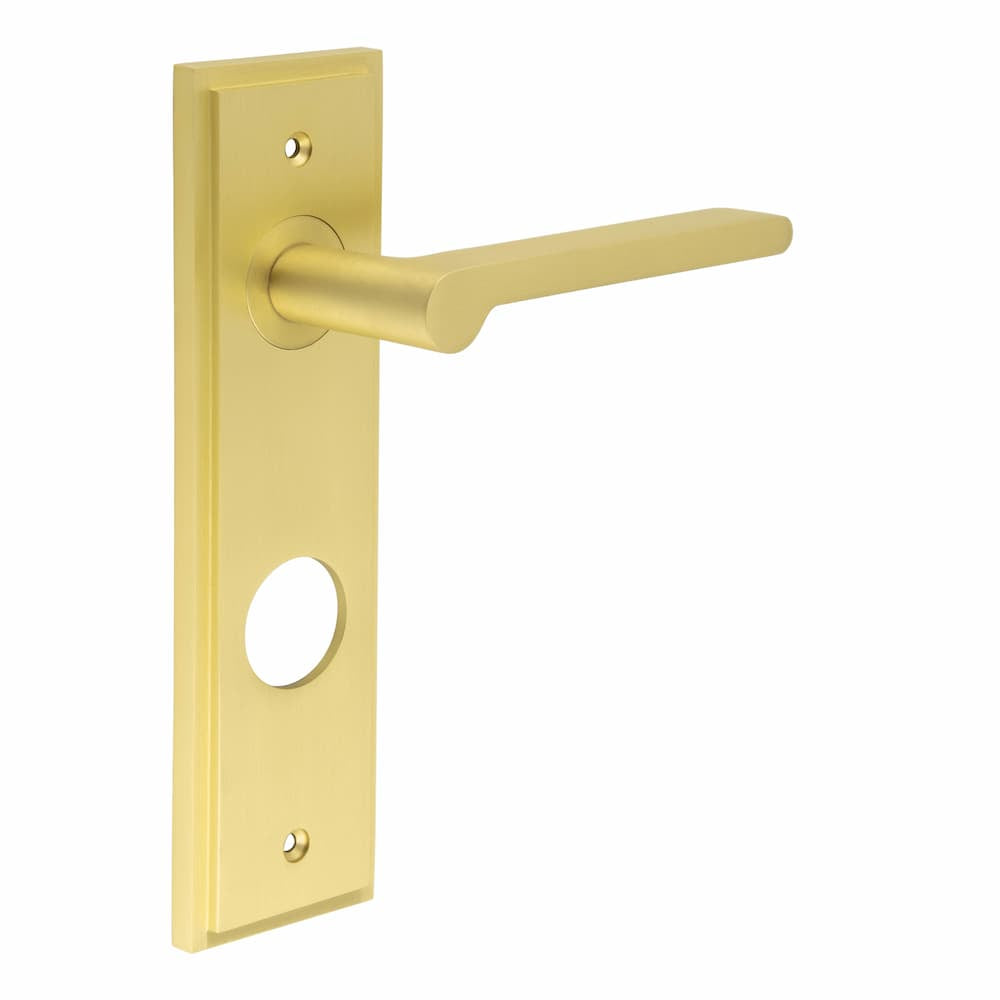 This is an image showing the Frelan - Fitzrovia Door Handle Din Bathroom Backplate Satin Brass available to order from T.H. Wiggans Ironmongery in Kendal