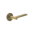 This is an image showing the Frelan - Fitzrovia Door Handles Stepped Rose Antique Brass available to order from T.H. Wiggans Ironmongery in Kendal