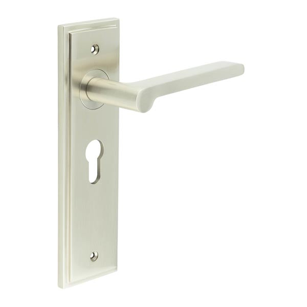 This is an image showing the Frelan - Fitzrovia Door Handle Euro Backplate Satin Nickel available to order from T.H. Wiggans Ironmongery in Kendal