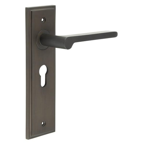 This is an image showing the Frelan - Fitzrovia Door Handle Euro Backplate Dark Bronze available to order from T.H. Wiggans Ironmongery in Kendal