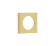 This is an image showing the Burlington - 52x52mm SB plain square outer rose for esc available to order from T.H. Wiggans Ironmongery in Kendal