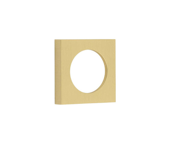 This is an image showing the Burlington - 52x52mm SB plain square outer rose for esc available to order from T.H. Wiggans Ironmongery in Kendal