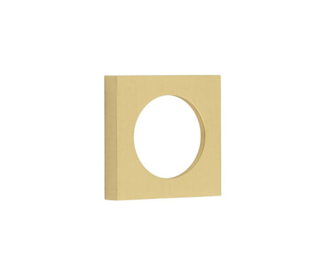 This is an image showing the Burlington - 52x52mm SB plain square outer rose for esc available to order from T.H. Wiggans Ironmongery in Kendal
