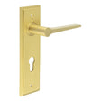 This is an image showing the Frelan - Knightbridge Door Handle Euro Backplate Satin Brass available to order from T.H. Wiggans Ironmongery in Kendal