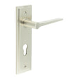 This is an image showing the Frelan - Knightbridge Door Handle Din Euro Backplate Satin Nickel available to order from T.H. Wiggans Ironmongery in Kendal