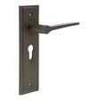 This is an image showing the Frelan - Knightbridge Door Handle Euro Backplate Dark Bronze available to order from T.H. Wiggans Ironmongery in Kendal