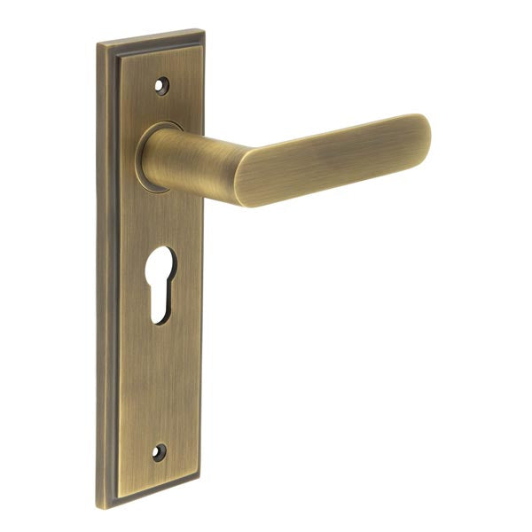 This is an image showing the Frelan - Kensington Door Handle Euro Backplate Antique Brass available to order from T.H. Wiggans Ironmongery in Kendal