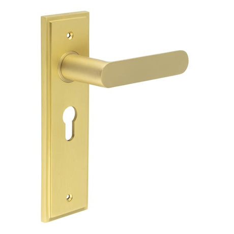 This is an image showing the Frelan - Kensington Door Handle Euro Backplate Satin Brass available to order from T.H. Wiggans Ironmongery in Kendal