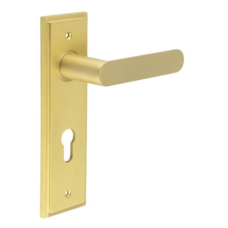 This is an image showing the Frelan - Kensington Door Handle Din Euro Backplate Satin Brass available to order from T.H. Wiggans Ironmongery in Kendal