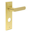 This is an image showing the Frelan - Kensington Door Handle Din Bathroom Backplate Satin Brass available to order from T.H. Wiggans Ironmongery in Kendal