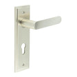 This is an image showing the Frelan - Kensington Door Handle Din Euro Backplate Satin Nickel available to order from T.H. Wiggans Ironmongery in Kendal