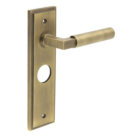 This is an image showing the Frelan - Westminster Door Handle Bathroom Backplate Antique Brass available to order from T.H. Wiggans Ironmongery in Kendal