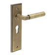 This is an image showing the Frelan - Westminster Door Handle Euro Backplate Antique Brass available to order from T.H. Wiggans Ironmongery in Kendal