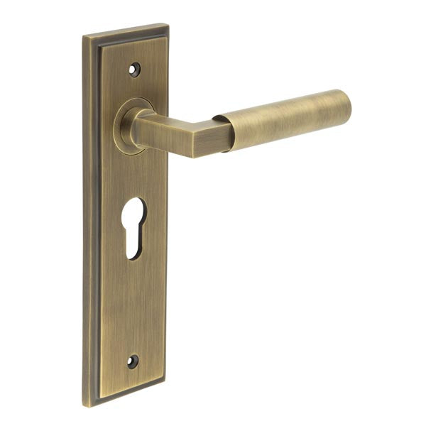 This is an image showing the Frelan - Westminster Door Handle Euro Backplate Antique Brass available to order from T.H. Wiggans Ironmongery in Kendal