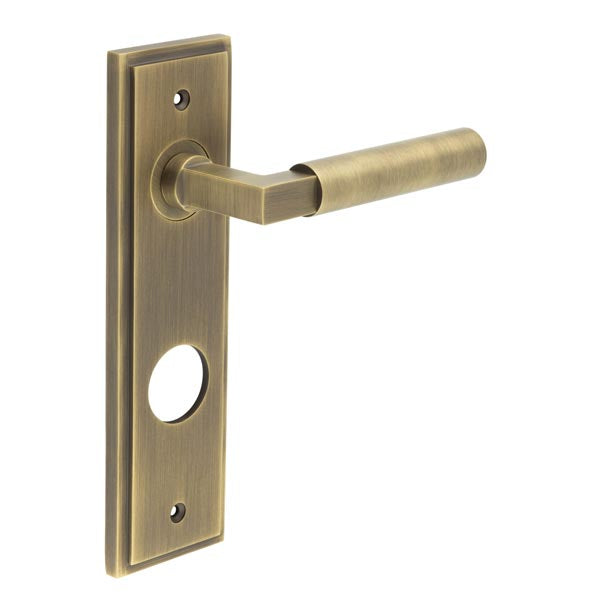 This is an image showing the Frelan - Westminster Door Handle Din Bathroom Backplate Antique Brass available to order from T.H. Wiggans Ironmongery in Kendal