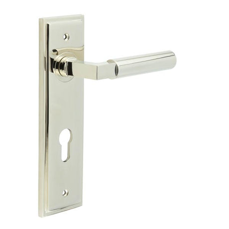 This is an image showing the Frelan - Westminster Door Handle Din Euro Backplate Polished Nickel available to order from T.H. Wiggans Ironmongery in Kendal