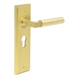 This is an image showing the Frelan - Westminster Door Handle Euro Backplate Satin Brass available to order from T.H. Wiggans Ironmongery in Kendal